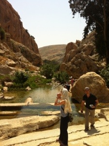 Pool in the Negev, Wadi Qelt
