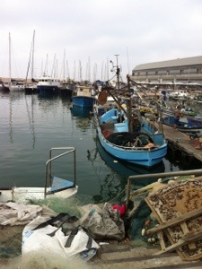 Old Jaffa Port