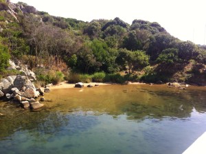 Pool and woods porto torres