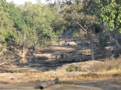 ihxv3Zrh5SX1P7JJ0qNgTJmyvQPssML6BFRjG-xH254