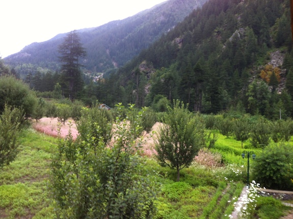 Sangla fields